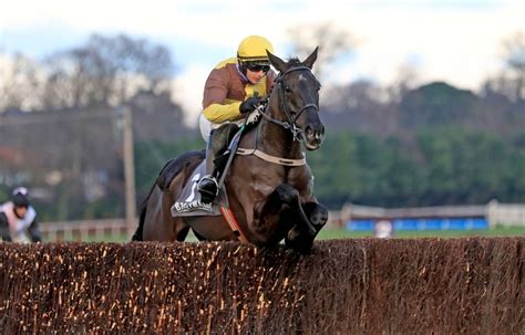 racing tips tomorrow gg|Tomorrow's Racecards .
